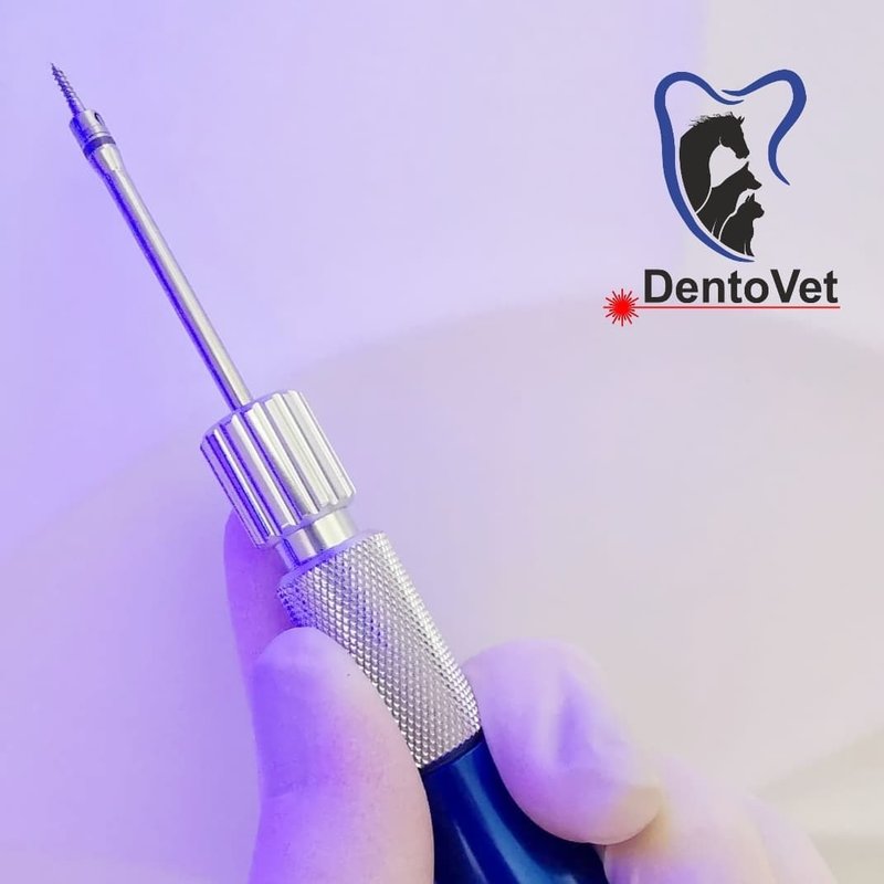 Cabinet veterinar de stomatologie - Dentovet